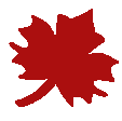 RCI_Web_Logo.png